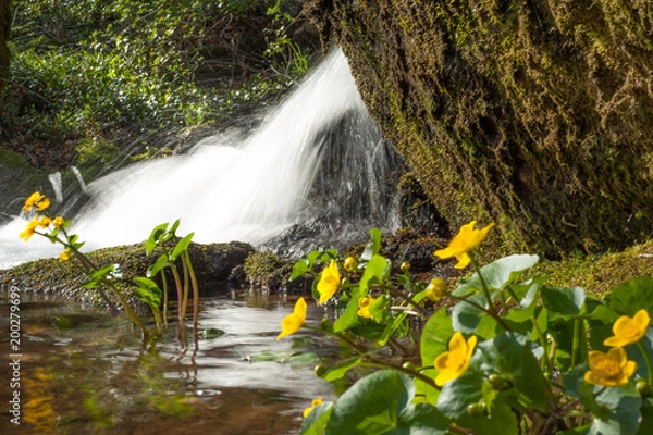 Obraz Petite Cascade