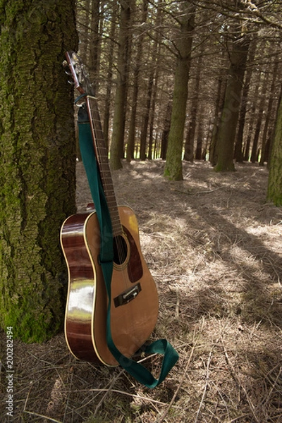 Obraz Guitare dans la forêt