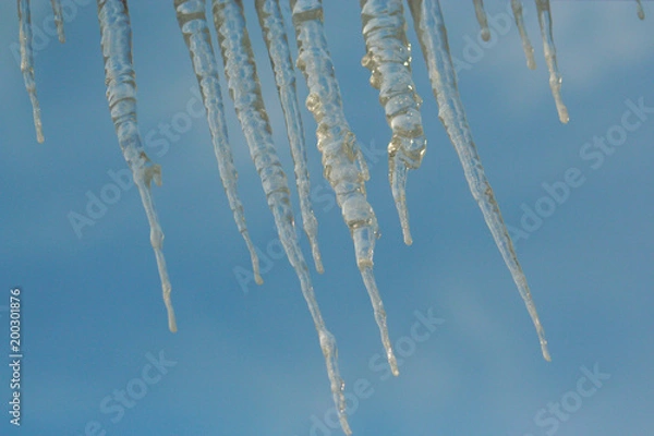 Obraz icicles
