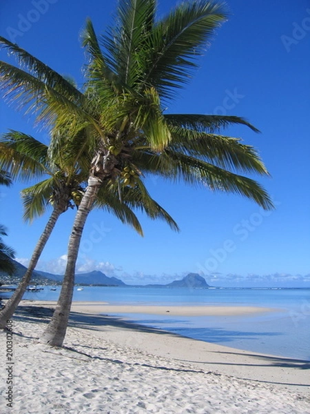 Obraz Sugar Beach, Mauritius