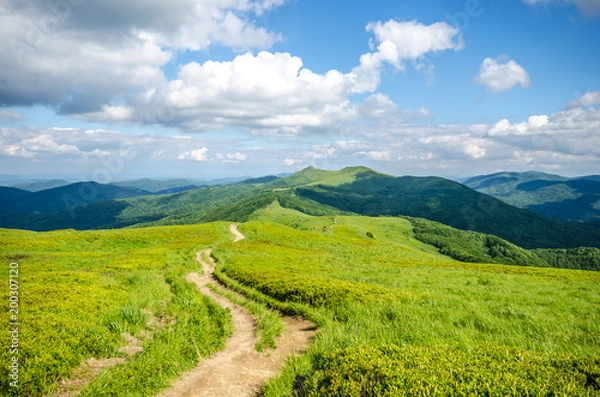 Obraz Zielone Bieszczady