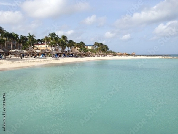 Fototapeta Palm Beach Aruba