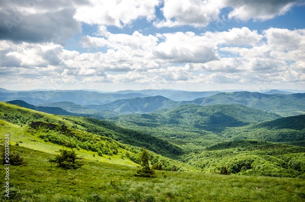 Obraz Wiosenne Bieszczady