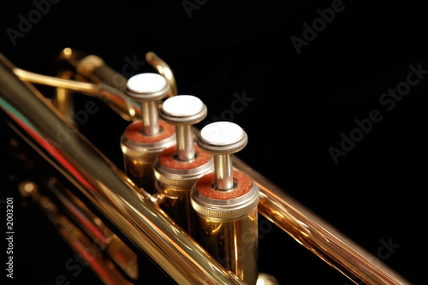 Obraz trumpet valves