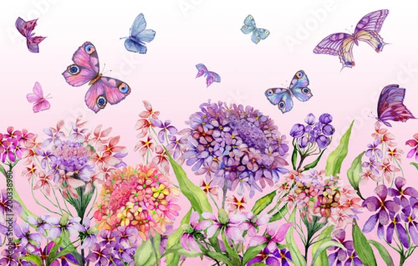 Fototapeta Kolorowy letni szeroki baner. Piękne żywe kwiaty iberis z zielonymi liśćmi na różowym tle. Szablon poziomy. Panoramiczny wzór kwiatowy. Malarstwo akwarelowe.