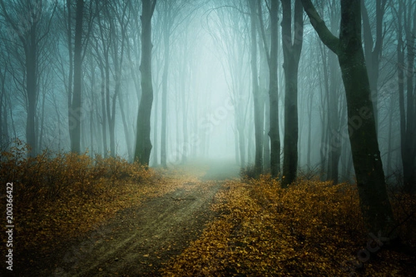 Obraz The road to nowhere