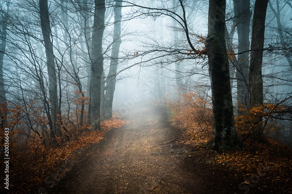 Obraz Final destination