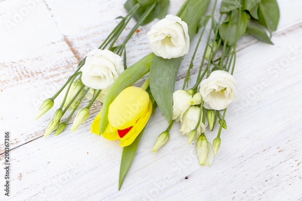 Obraz Tulips and eustoma