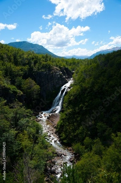 Obraz Vertical photo of Ñivinco fall in Neuquen Argentina with trees and plants in the foreground and a water stream and mountains in the background