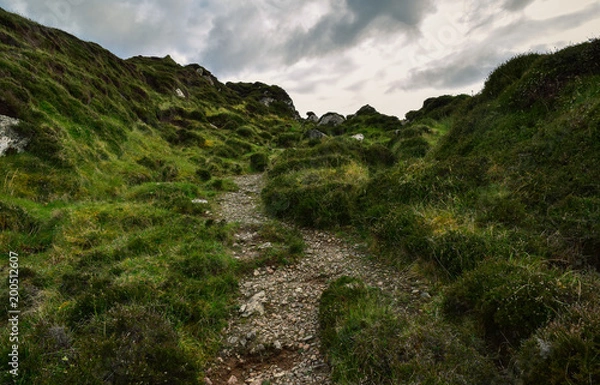 Obraz Wanderweg auf Iona