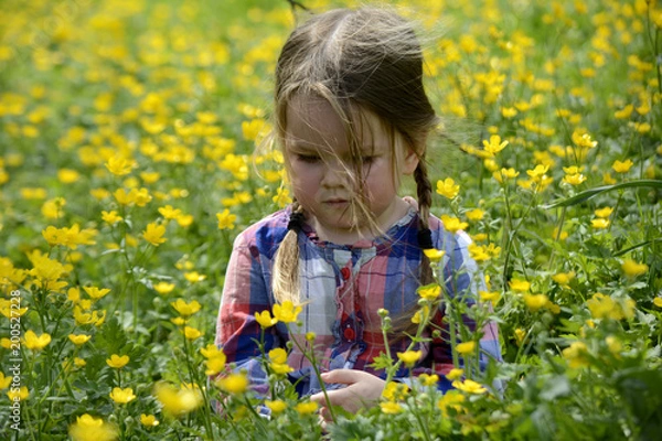 Fototapeta little girl walking on the field with yellow flowers