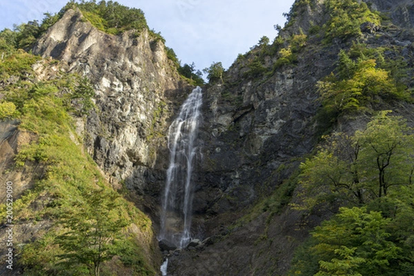 Fototapeta 秋の白山白川郷ホワイトロード　ふくべの大滝