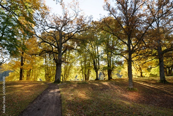 Fototapeta Castle Park