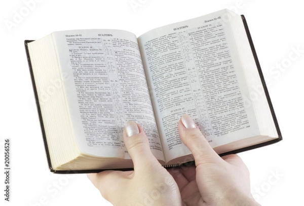 Obraz hand holds the bible
