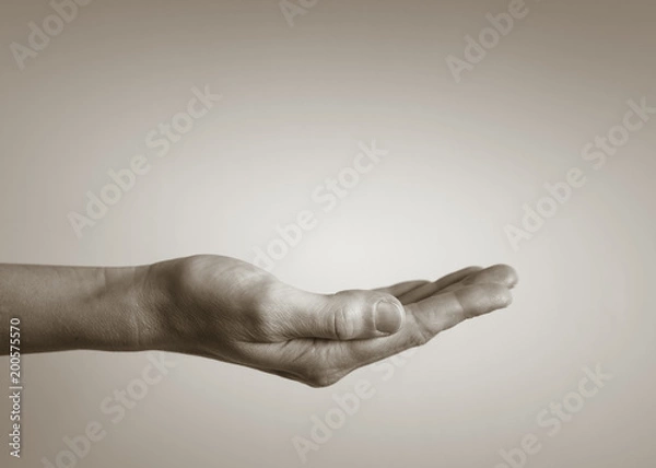 Fototapeta Palm of hand. Copy space. 