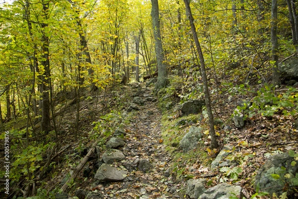 Obraz Mountain Trail