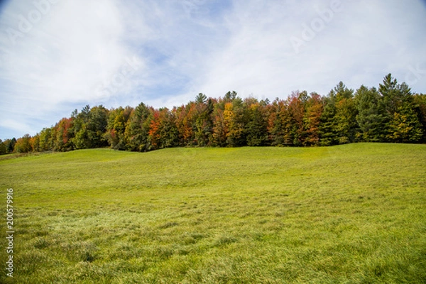 Obraz Fall Field