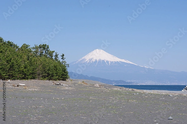 Obraz 三保の松原と富士山