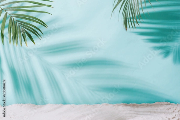 Obraz Letnia koncepcja. Cień palmy na niebieskim tle.
