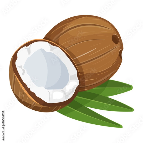 Fototapeta Very high quality original trendy vector seamless pattern with coconut