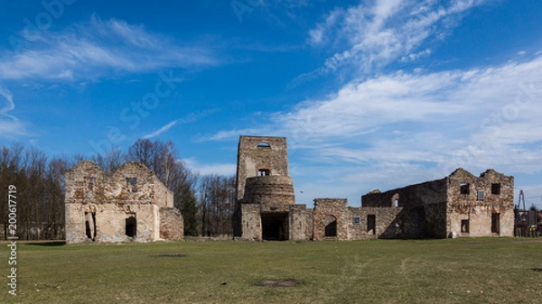Fototapeta Ruins of the smelter in Samsonow, Poland