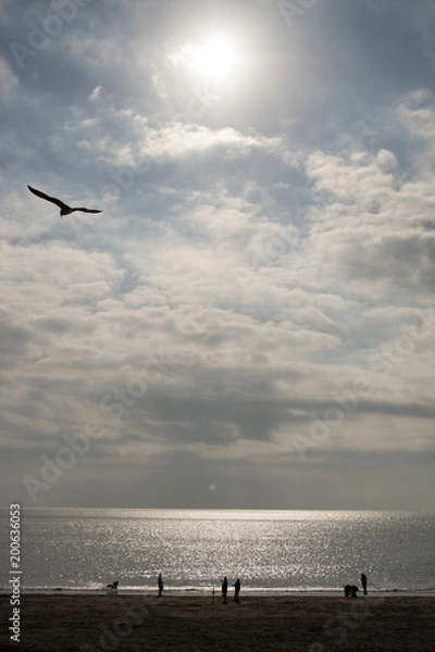 Fototapeta Barry Town