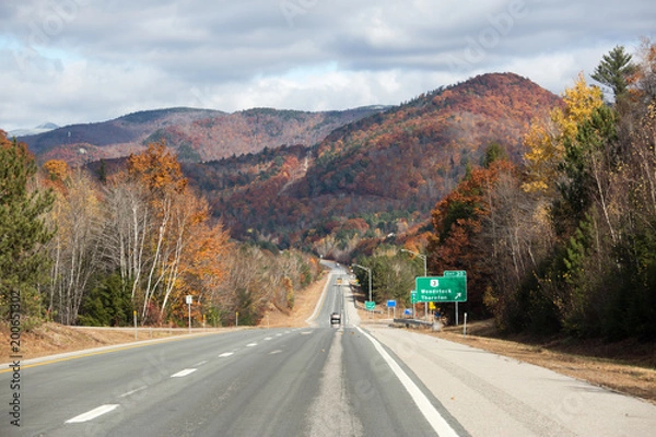 Fototapeta Road in autumn