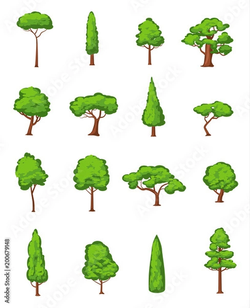 Fototapeta Spring and summer trees icons collection isolated on white, vector illustration