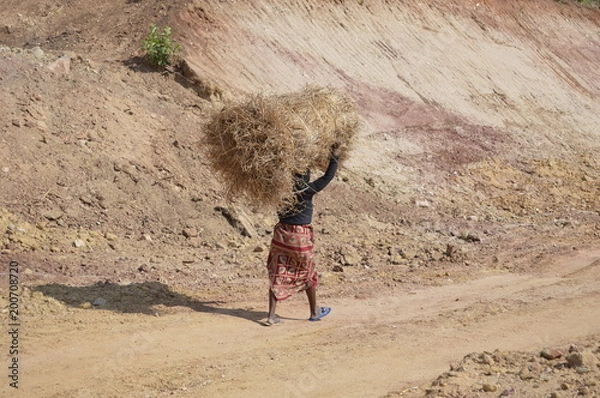 Obraz trabalhador da machamba