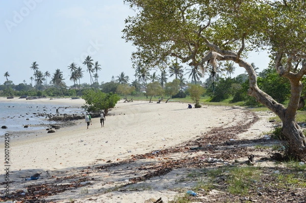 Obraz viva viver paraiso