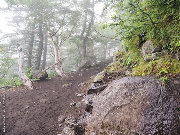Fototapeta 富士山