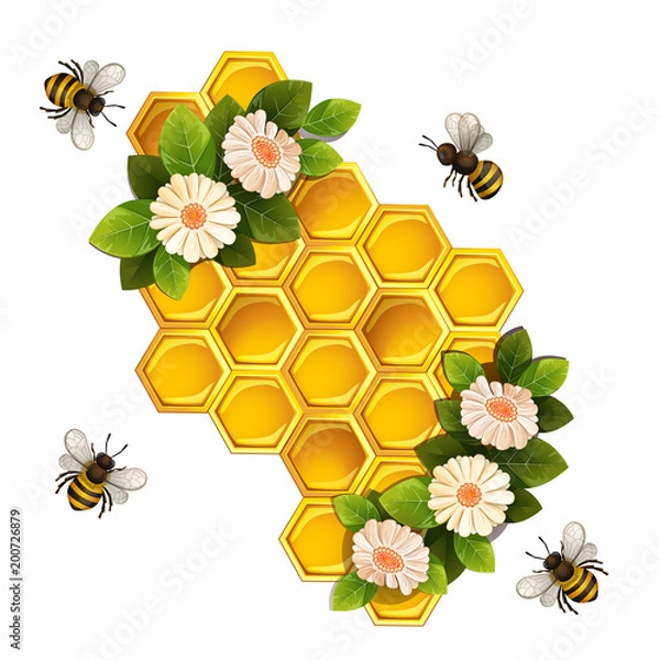 Obraz Bees, honeycombs and flowers isolated on white