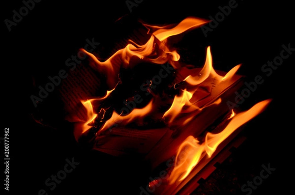 Obraz Bright flame on a black background