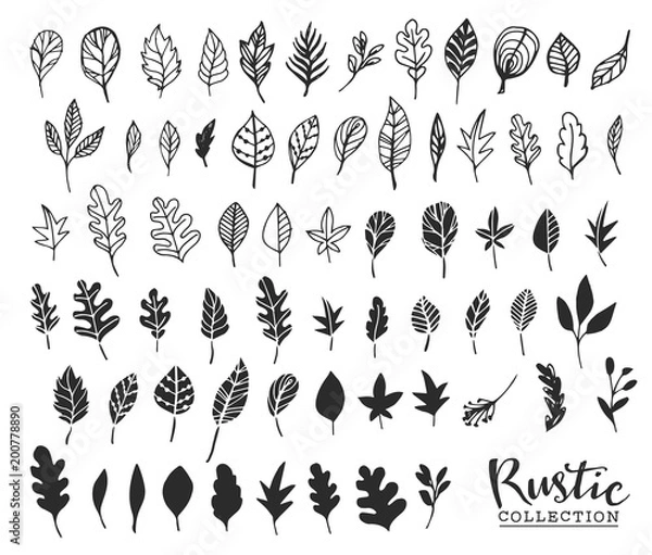 Obraz Hand drawn vintage leaves. Rustic decorative vector design elements.