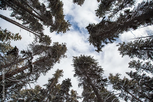 Obraz The View Above 