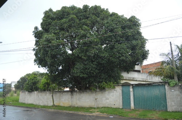 Obraz beira de estrada