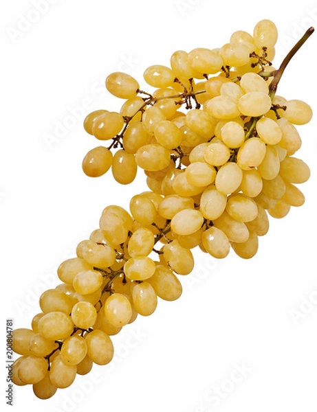 Obraz Sweet light grapes isolated on white background - fruit food.