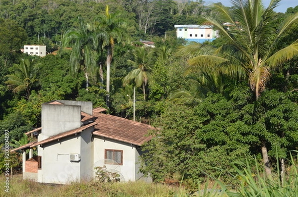 Obraz casas interior