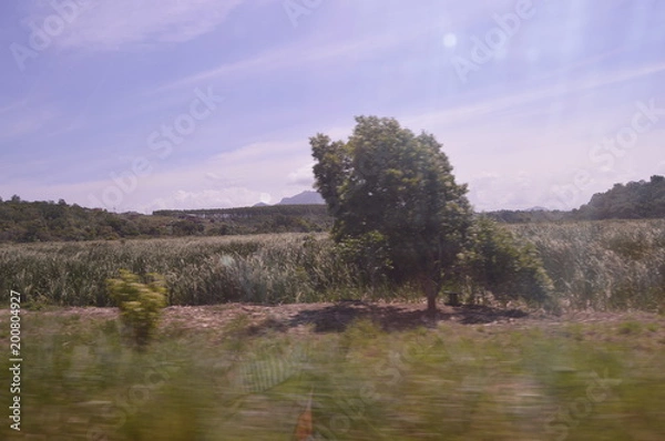 Obraz estradas e natureza