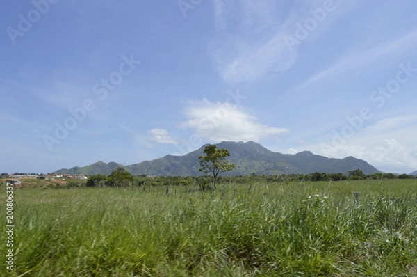 Obraz beira de estrada