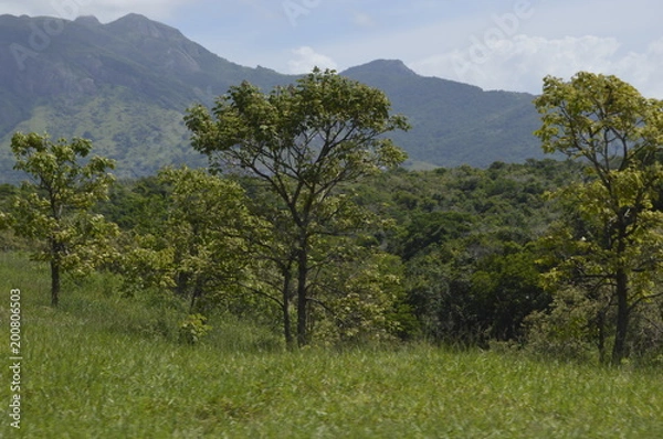 Obraz beira de estrada