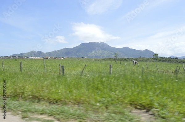 Obraz beira de estrada