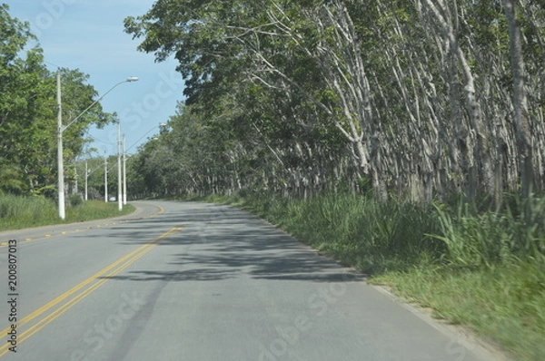Obraz verde na estrada 