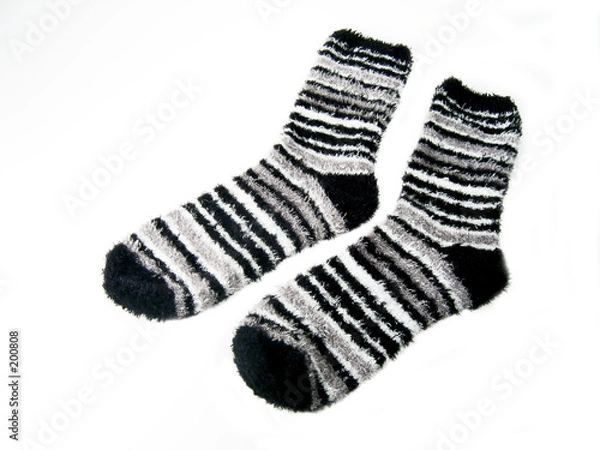 Obraz fuzzy socks