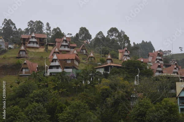 Obraz verde na estrada 