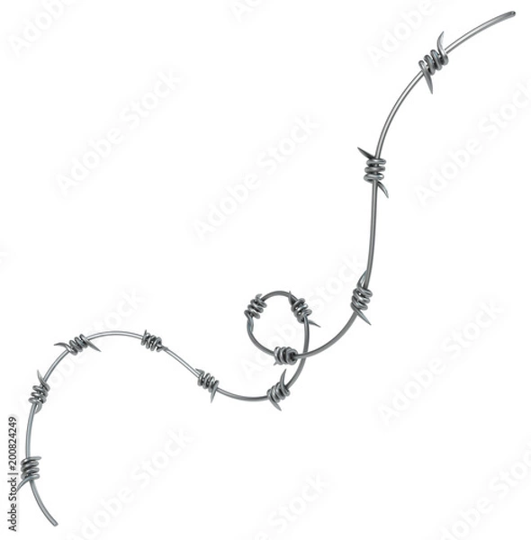 Fototapeta Barbed Wire Segment