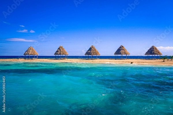 Fototapeta A row of thatched palapas on golden sand on the tiny island of Rendezvous Caye in the Belize Barrier Reef, off the coast of Belize, Central America
