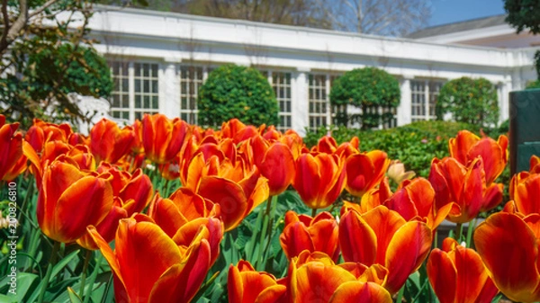 Obraz Washington DC 38