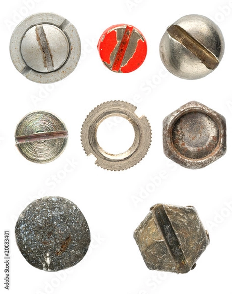 Fototapeta Various screws head