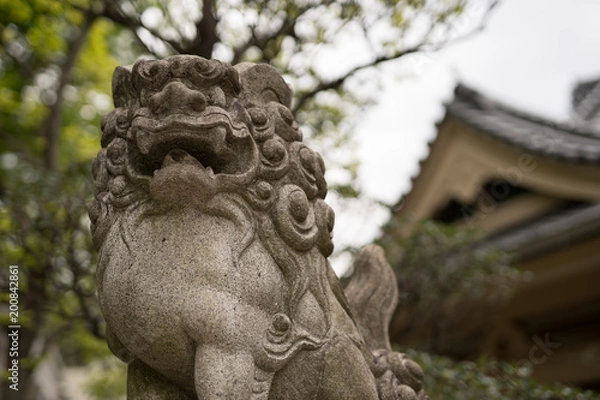 Fototapeta 神社の狛犬